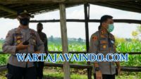 IMG-20201114-WA0138