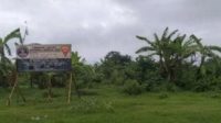 IMG_20241215_131302