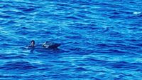 IMG_20250131_104312