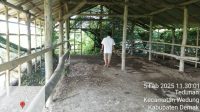 IMG_20250205_131019