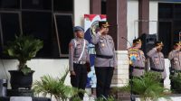 IMG_20250206_124723